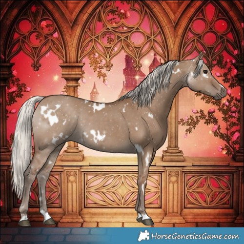 Horse Color:White Spotted Silver Grullo Rabicano 