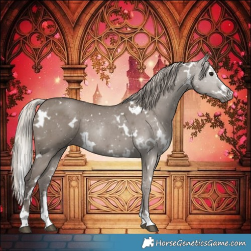 Horse Color:White Spotted Silver Grullo Rabicano 