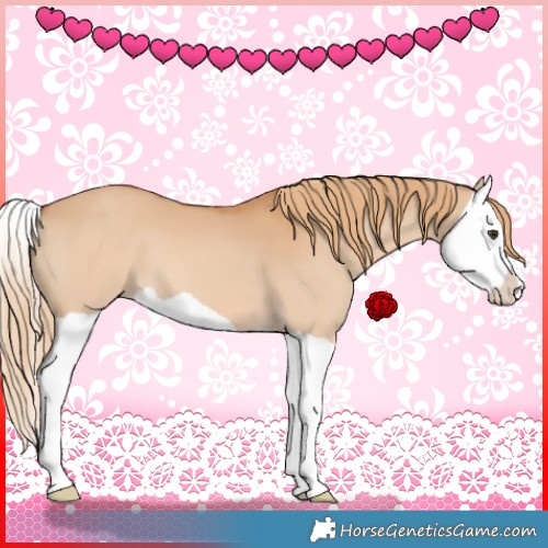 Horse Color:Red Dun Splash 