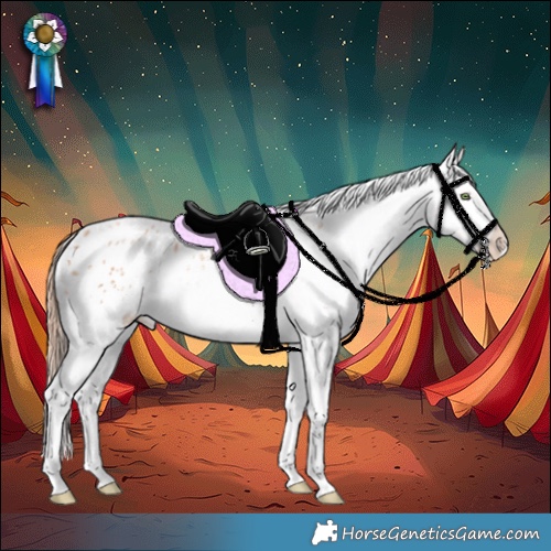 Horse Color:White Spotted Gold Champagne Appaloosa Rabicano 