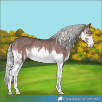 Horse Color:Platinum White Spotted Silver Bay Rabicano 