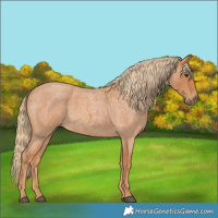 Horse Color:Red Roan