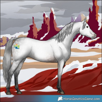 Horse Color:Gray White Spotted Brown 