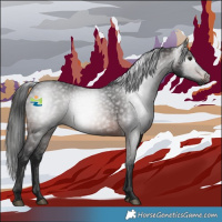Horse Color:Gray White Spotted Brown 