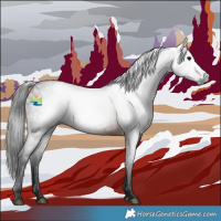 Horse Color:Gray White Spotted Brown