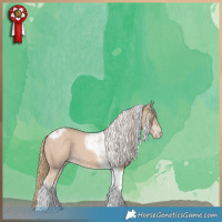 Horse Color:Smoky Creme Tobiano 