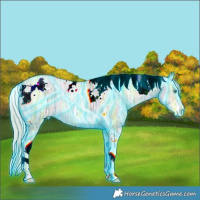 Horse Color:Thunderstruck Chocolate Palomino Ice Pearl Tobiano