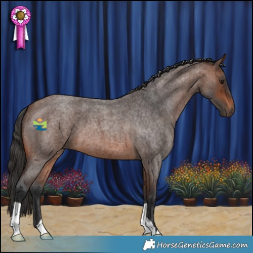 Horse Color:Brown Roan 