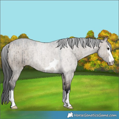 Horse Color:Brown Dun Brindle 