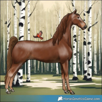 Horse Color:Gray Chestnut 