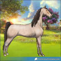 Horse Color:Amber Champagne Roan 