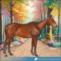 Horse Color:Silver Bay 