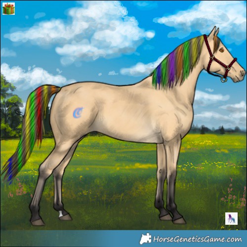Horse Color:Painted Buckskin 