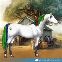 Horse Color:Painted Buckskin Chinchilla