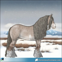 Horse Color:Liver Red Dun Mushroom Sabino Rabicano Brindle