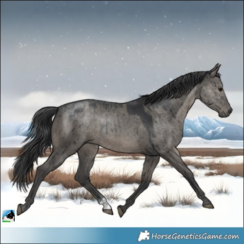 Horse Color:Grullo Brindle 