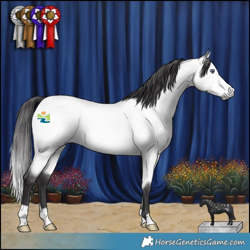 Horse Color:Buckskin Chinchilla 