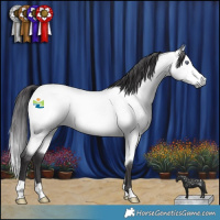 Horse Color:Buckskin Chinchilla 