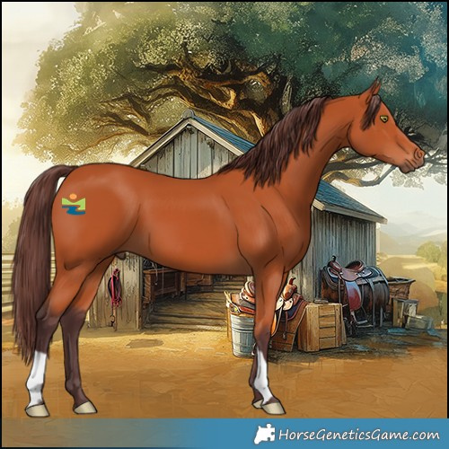 Horse Color:Chocolate Bay 