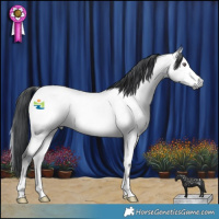 Horse Color:Bay Chinchilla Onyx 