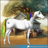 Horse Color:Platinum Painted Bay Chinchilla Onyx Splash 