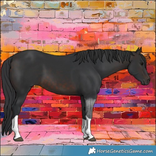 Horse Color:Brown Tobiano 