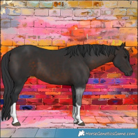 Horse Color:Brown Tobiano