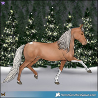 Horse Color:Silver Black Pearl Tobiano 