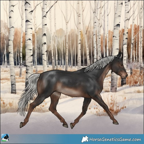 Horse Color:Liver Chestnut Mushroom Rabicano