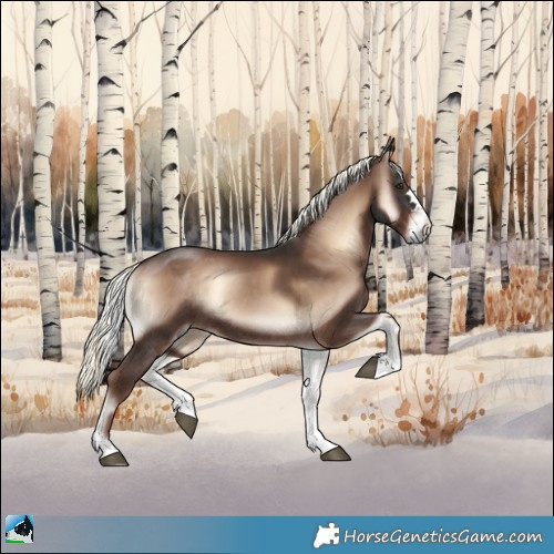 Horse Color:Liver Red Onyx Mushroom Rabicano 