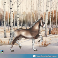 Horse Color:Liver Red Onyx Mushroom Rabicano 