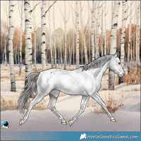 Horse Color:Liver Chestnut Mushroom Varnish Rabicano