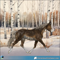 Horse Color:Chocolate Palomino Ice Mushroom Rabicano