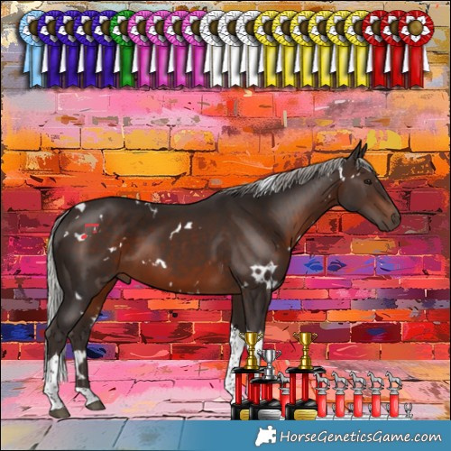 Horse Color:White Spotted Silver Brown Tobiano 