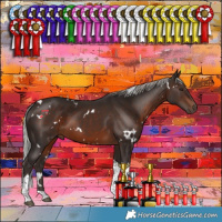 Horse Color:White Spotted Silver Brown Tobiano