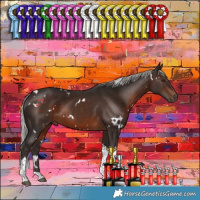 Horse Color:White Spotted Silver Brown Tobiano 