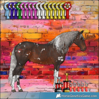 Horse Color:White Spotted Silver Brown Tobiano