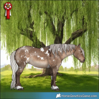 Horse Color:White Spotted Silver Brown Dun 
