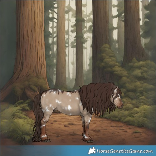 Horse Color:White Spotted Liver Red Dun 