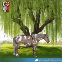 Horse Color:White Spotted Liver Red Dun Mushroom 