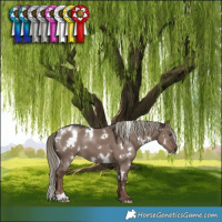 Horse Color:White Spotted Liver Red Dun Mushroom 