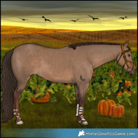 Horse Color:Liver Red Dun 