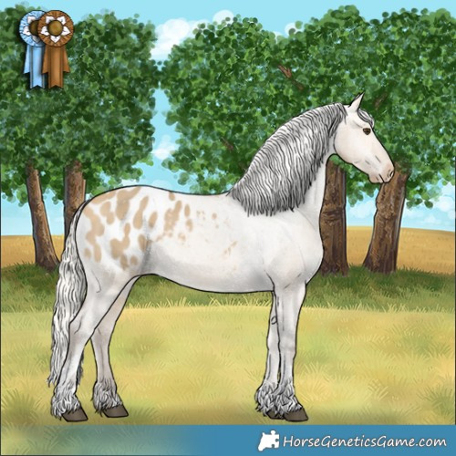 Horse Color:Silver Buckskin Dun Tobiano Appaloosa 