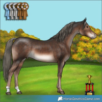Horse Color:Liver Chestnut Mushroom 