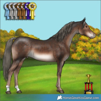 Horse Color:Liver Chestnut Mushroom 