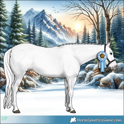 Horse Color:Gray Bay Dun Tobiano Appaloosa 