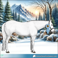 Horse Color:Gray Bay Dun Tobiano Appaloosa 