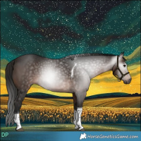 Horse Color:Gray Bay Tobiano 