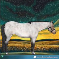 Horse Color:Brown Roan Dun 