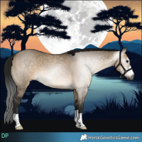 Horse Color:Gray Brown Dun 